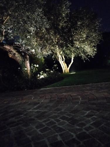 Villa Beatrice 3