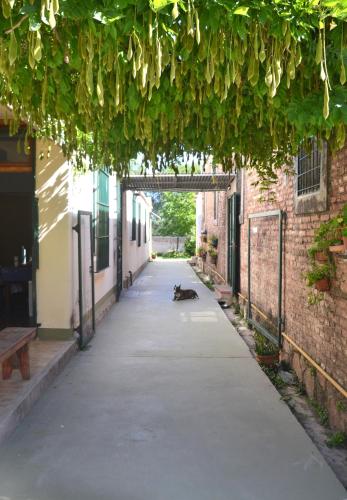 المرافق, Garden Atelier Eco Friendly in La Cumbre