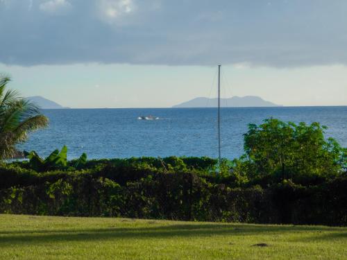 Duplex Palm Beach - Plage et Rando 3