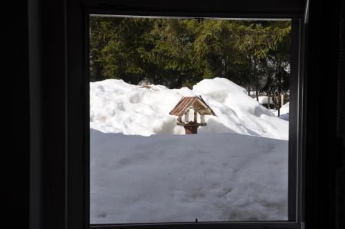 Casa Alpina Dobbiaco - image 7
