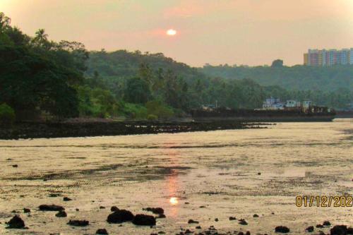 BirdsNest SeaView Apartment Goa