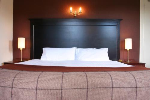 Ben Wyvis Hotel - image 11