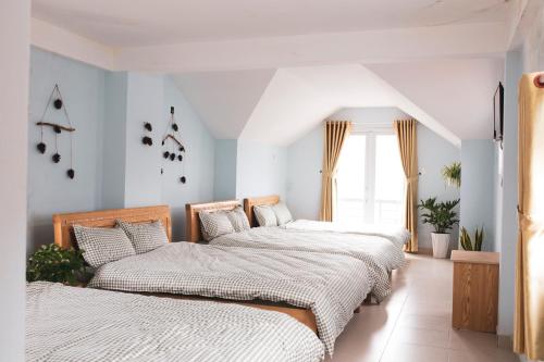 Rot Homestay - Dalat