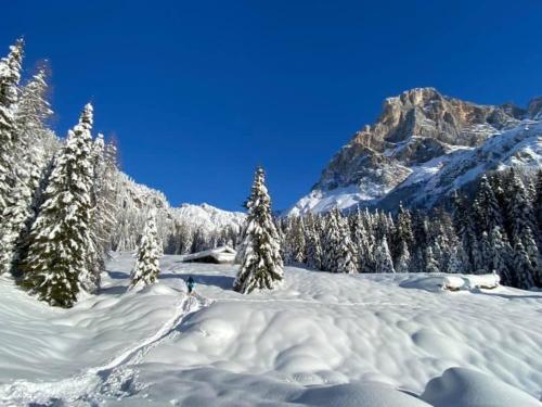 Chalet Prà delle Nasse