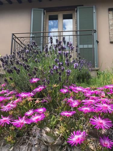 Agriturismo Collerisana - image 8