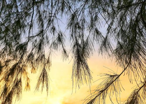 Sea View Resort in Batticaloa