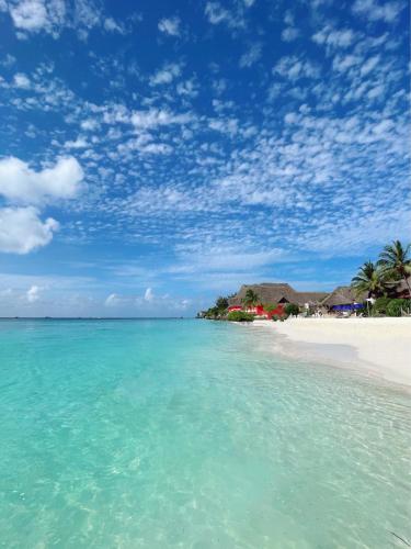 巴巴勞平房飯店 (Babalao Bungalows) in 桑吉巴