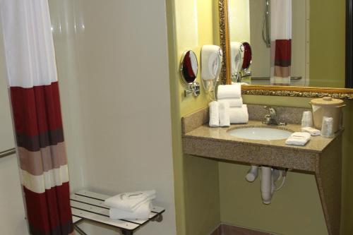 Red Roof Inn & Suites Detroit - Melvindale/Dearborn - image 5