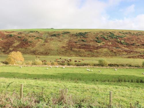 St Agnes - image 13