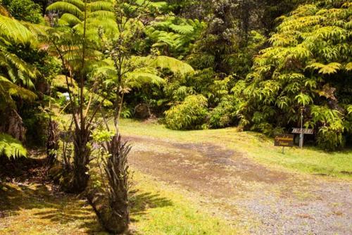 Cymbidium House Volcano Village by Casago
