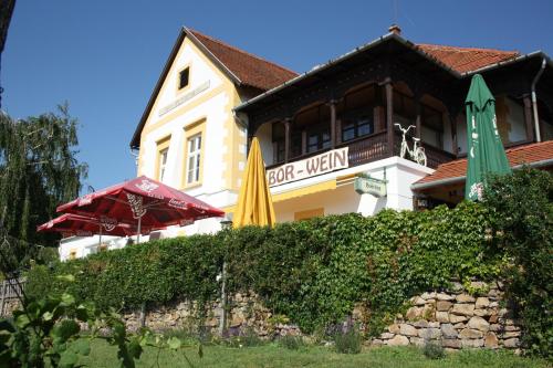 Entrance, Bacchus Apartman - Borbarlang, Badacsony in Badacsonytomaj