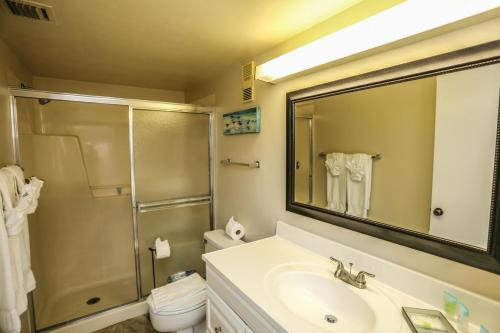 Sand Caper 207 - image 8