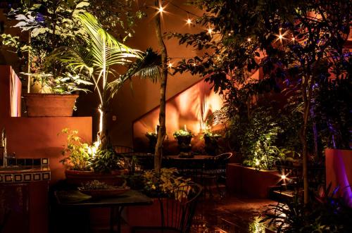 The Red Tree House – Mexico City, CT