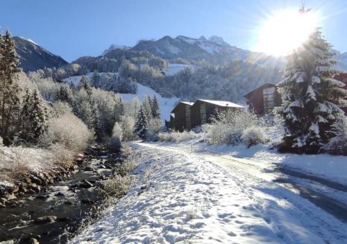Aparthotel Mountain River Resort - Apartment - Champoussin