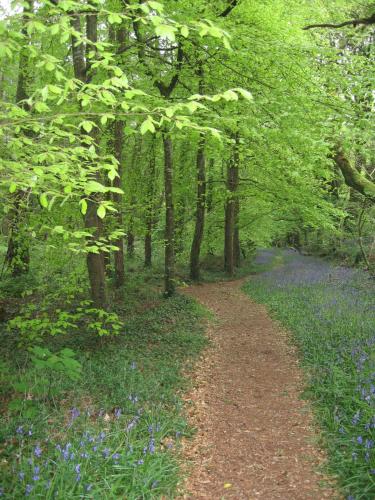 Little Pengelly Farm - image 3