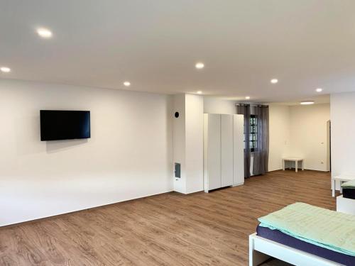 共用Lounge/電視區, My-Skypalace Dirmstein in 迪姆施泰恩