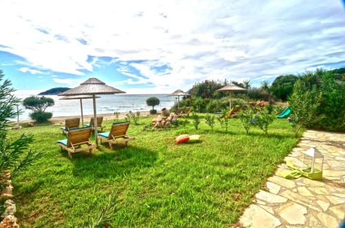 Beachfront Elena Villa with mini pool and spa - Accommodation - Vasilikos