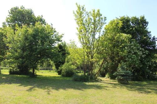  Axtburg Apartments in Bérbaltavár