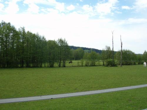 Ferienwohnung Neureuth - image 2