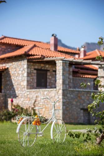 Agroktima, Leonidi (Foto 5)