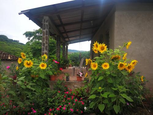 La Ceibita Tours in 埃斯特利