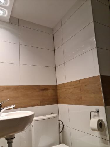 AMBER APARTAMENt 11, Cracovia (foto 6)