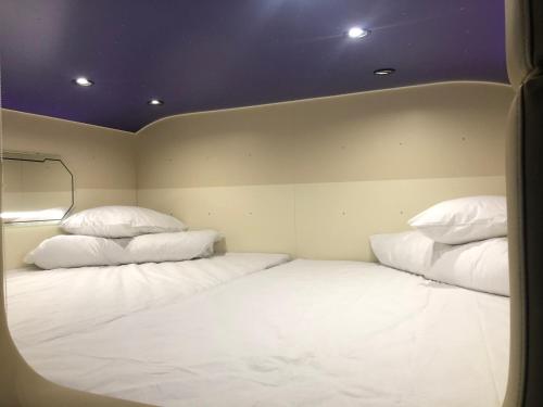 AV-2 capsule hotel