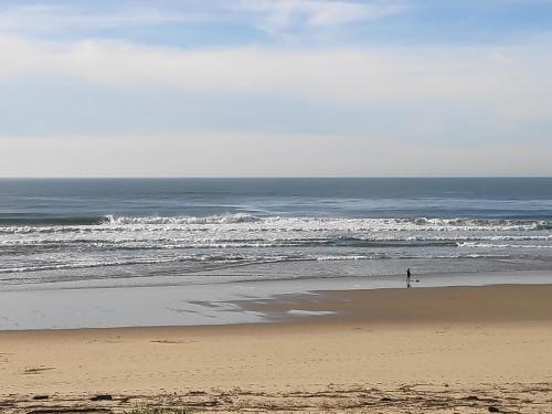 studio Seignosse Ocean (plages et commerces a pied)