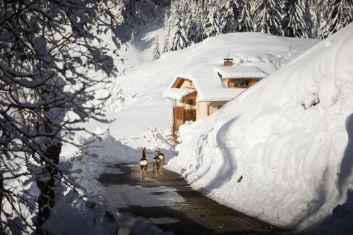 Sotciastel Antico Chalet in Abtei