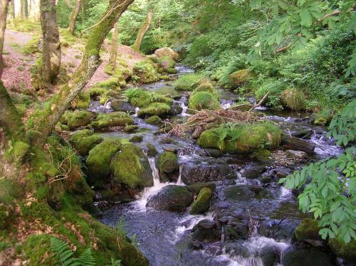 The Dolgoch