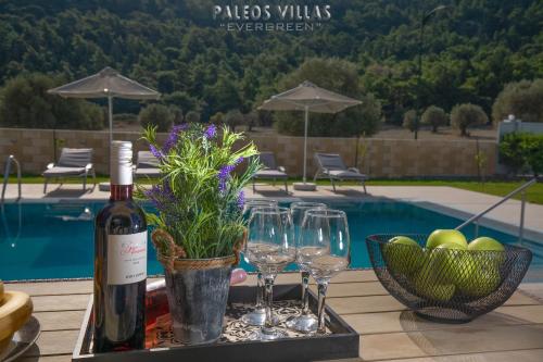 Paleos Evergreen villa