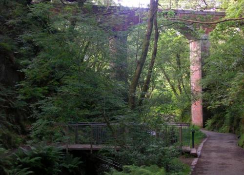The Dolgoch - image 2