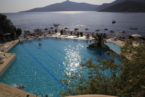 Club Patara Cactus 61