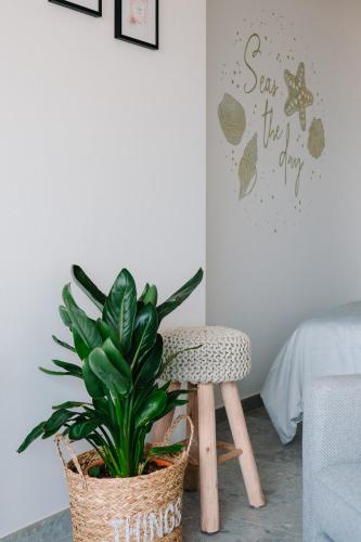 Studio47, Ostenda (foto 8)