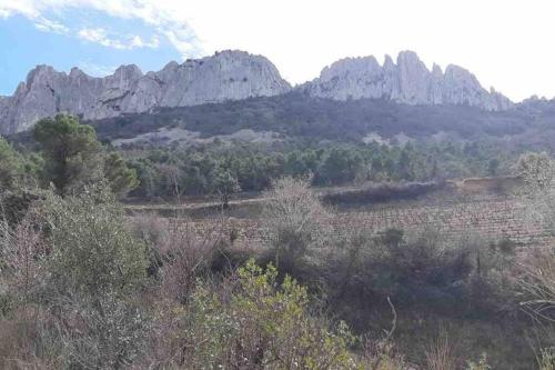 Studio indépendant au pied des dentelles de Montmirail