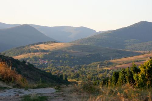 Iekārtas, Cziroka Vendeghaz in Tolksva