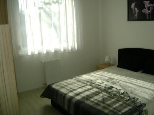 Elizabeth apartman Siófok - image 3