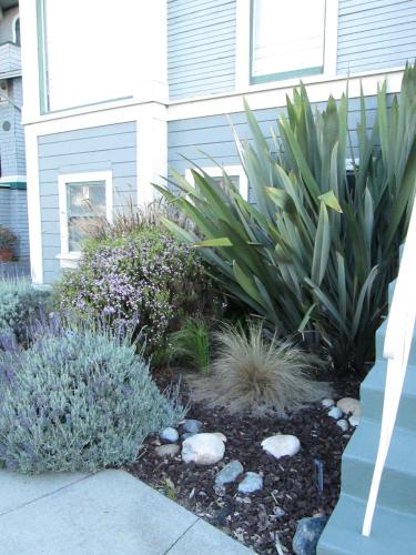 Alameda Island House