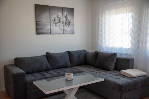Apartman Ante in Livno