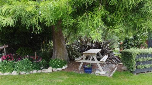 Olivista in มาสเตอร์ตัน