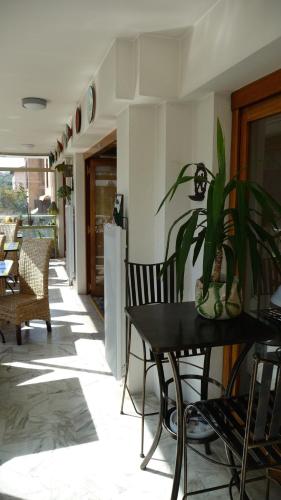 Hôtel Restaurant Brasilia 4