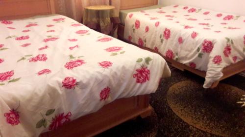 2 bedrooms apartement with city view terrace and wifi at Tunis 4 km away from the beach photo 2