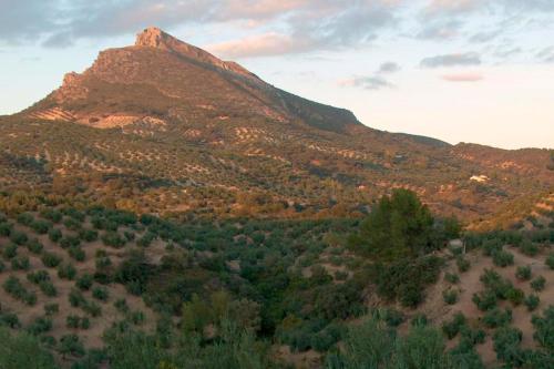 House with 5 bedrooms in Zambra with private pool furnished terrace and WiFi - image 6