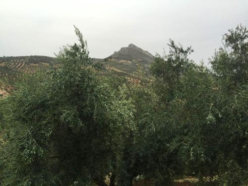 House with 5 bedrooms in Zambra with private pool furnished terrace and WiFi - image 12