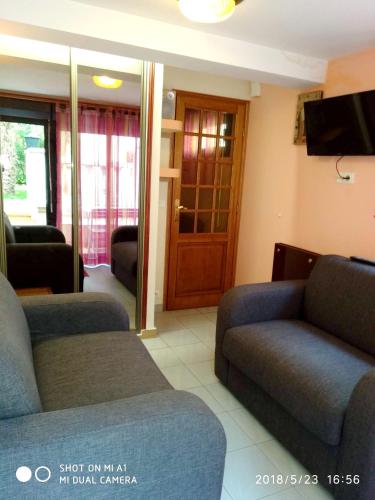 Apartment with one bedroom in Alfortville with furnished garden and WiFi - image 2