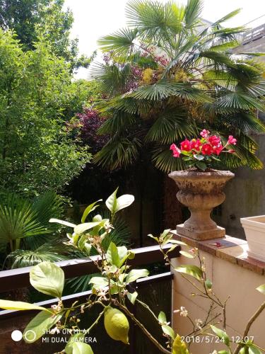Apartment with one bedroom in Alfortville with furnished garden and WiFi - image 6