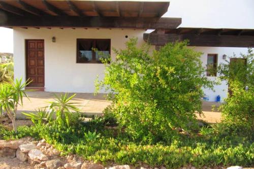. One bedroom house with garden at Triquivijate