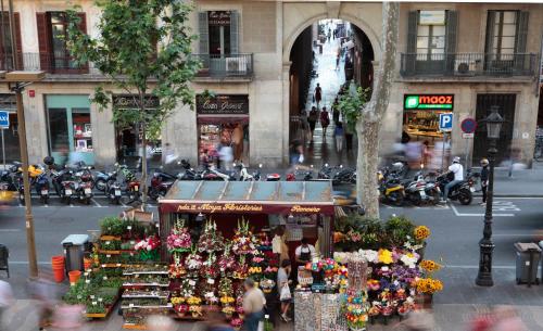 Rambla 102 - image 4