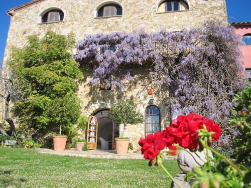  9 bedrooms mansion with private pool garden and wifi at Sales de Llierca in Sales del Llierca