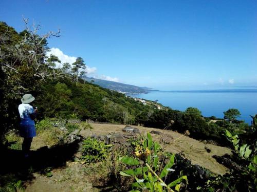 House with 3 bedrooms in Santo Amaro with wonderful sea view furnished garden and WiFi 2 km from the beach - image 11